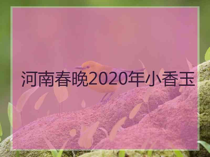 河南春晚2020年小香玉