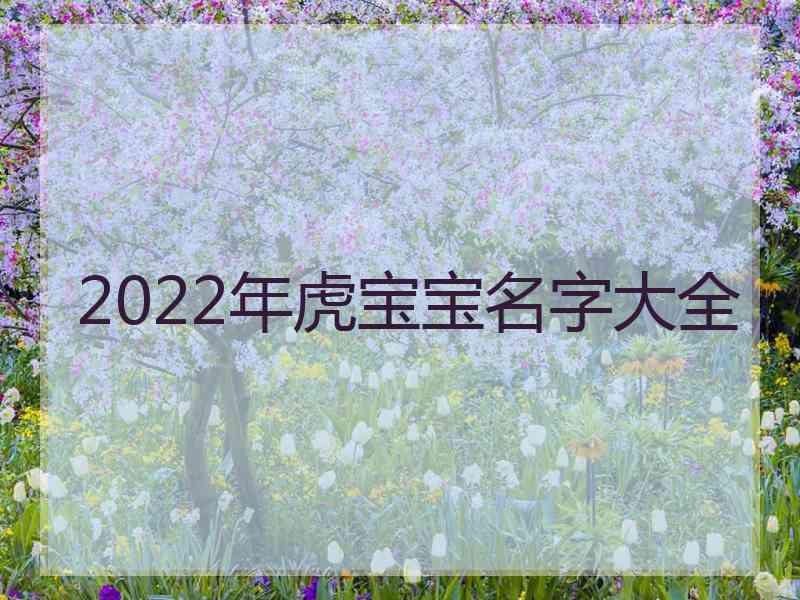 2022年虎宝宝名字大全