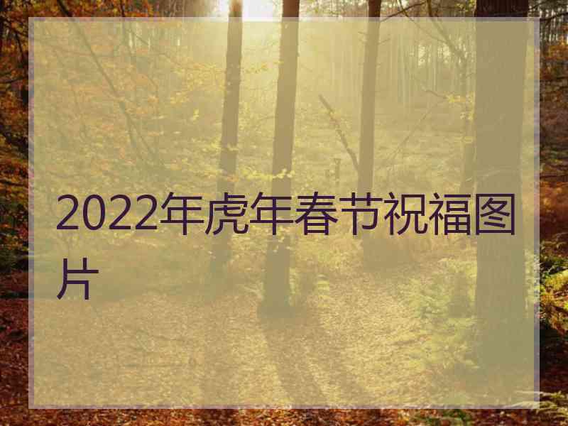 2022年虎年春节祝福图片