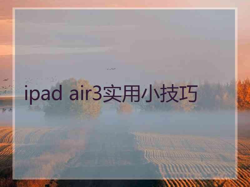 ipad air3实用小技巧