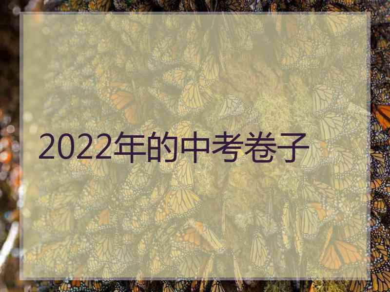 2022年的中考卷子