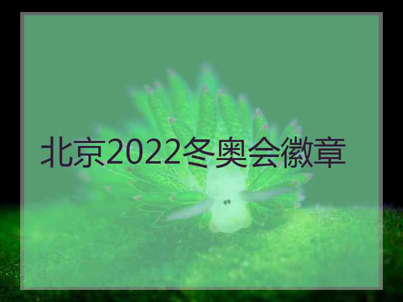 北京2022冬奥会徽章