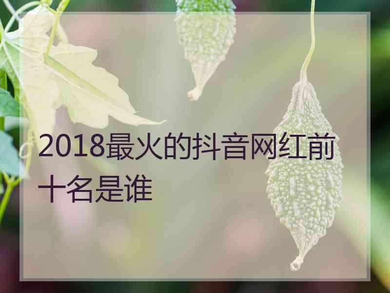 2018最火的抖音网红前十名是谁