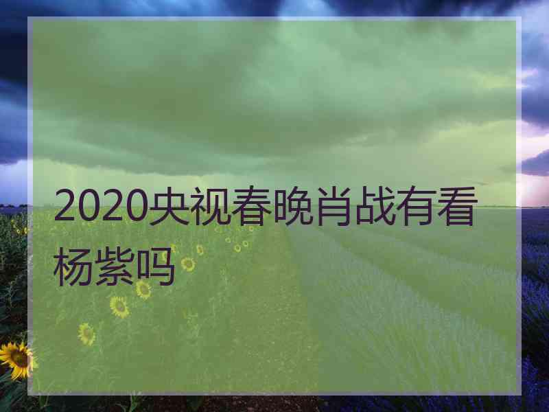 2020央视春晚肖战有看杨紫吗