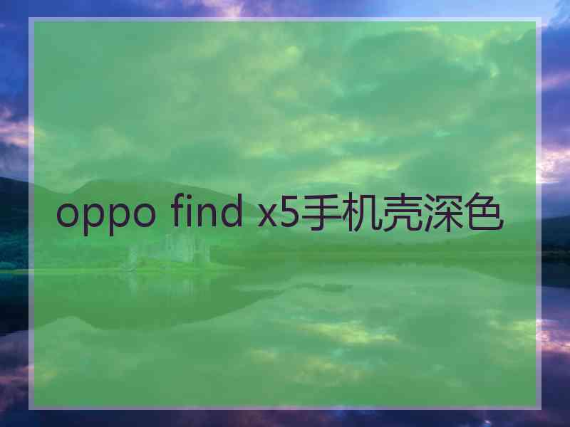 oppo find x5手机壳深色