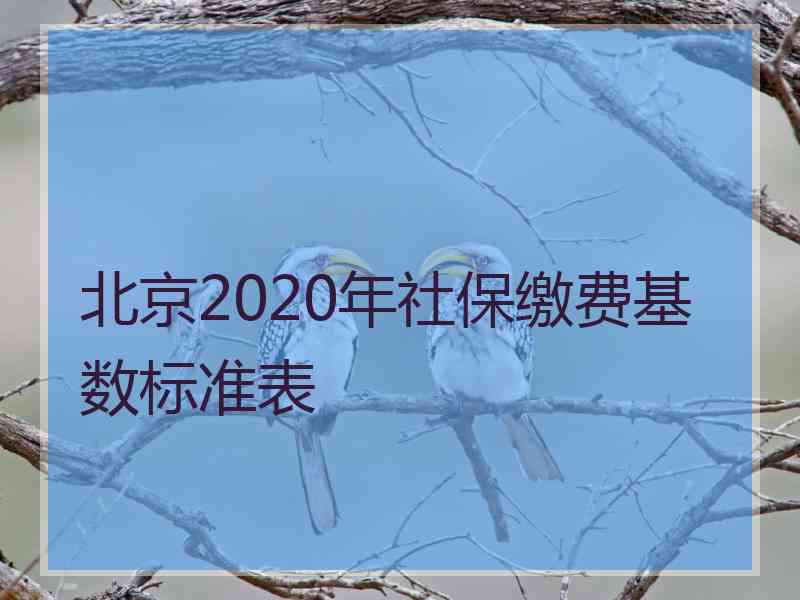 北京2020年社保缴费基数标准表