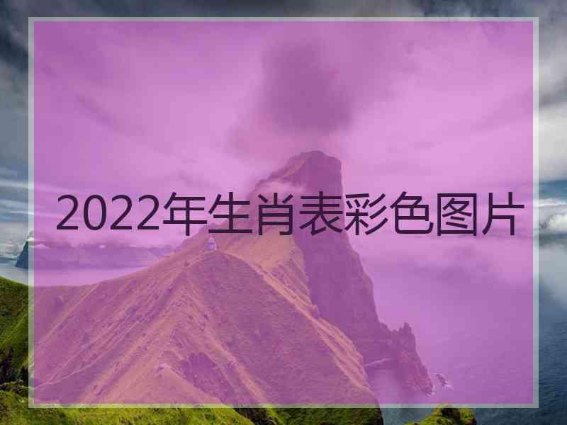 2022年生肖表彩色图片