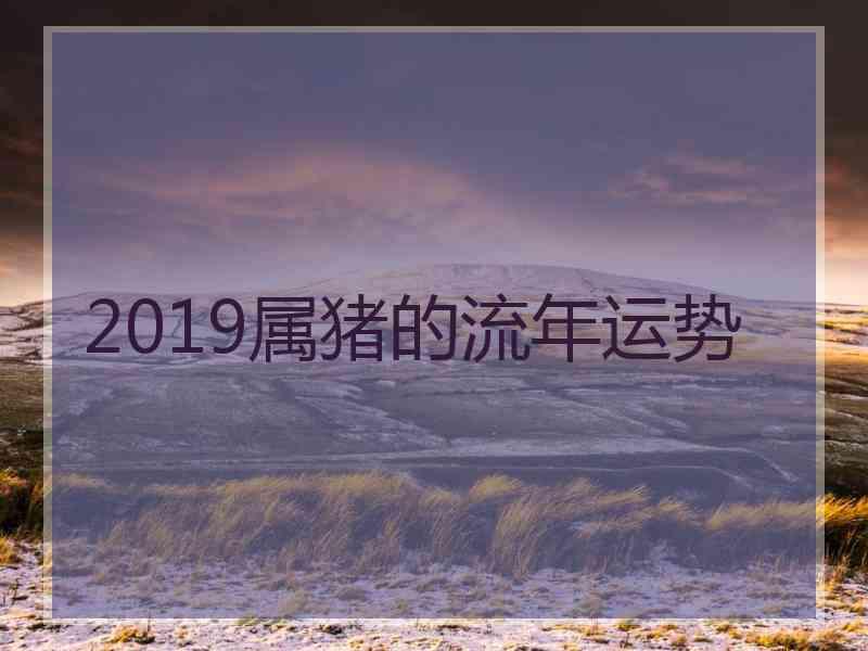 2019属猪的流年运势