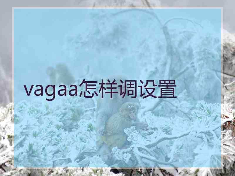 vagaa怎样调设置