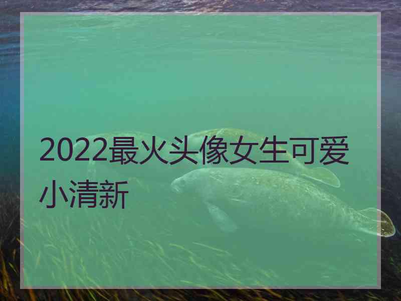 2022最火头像女生可爱小清新