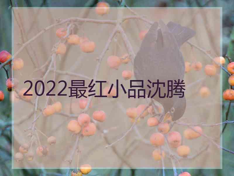 2022最红小品沈腾