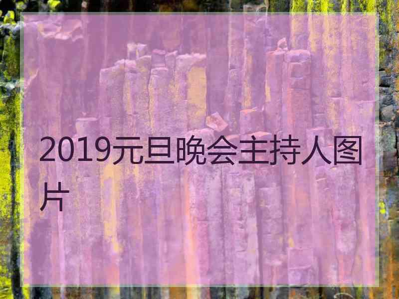 2019元旦晚会主持人图片