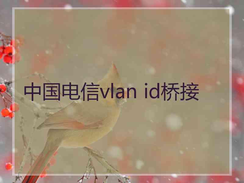 中国电信vlan id桥接