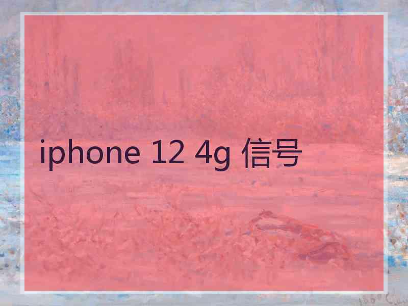 iphone 12 4g 信号