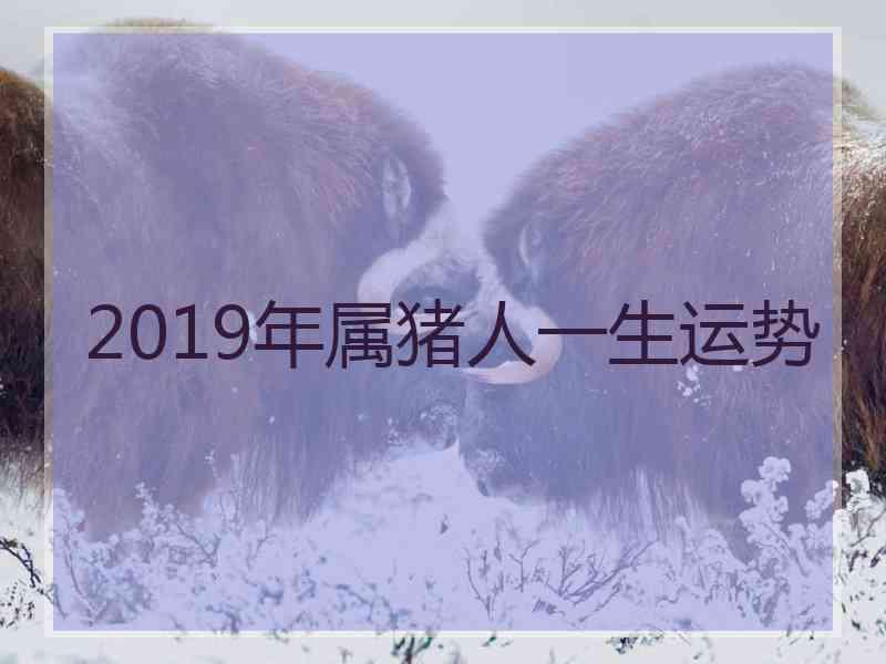 2019年属猪人一生运势