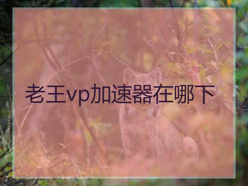 老王vp加速器在哪下