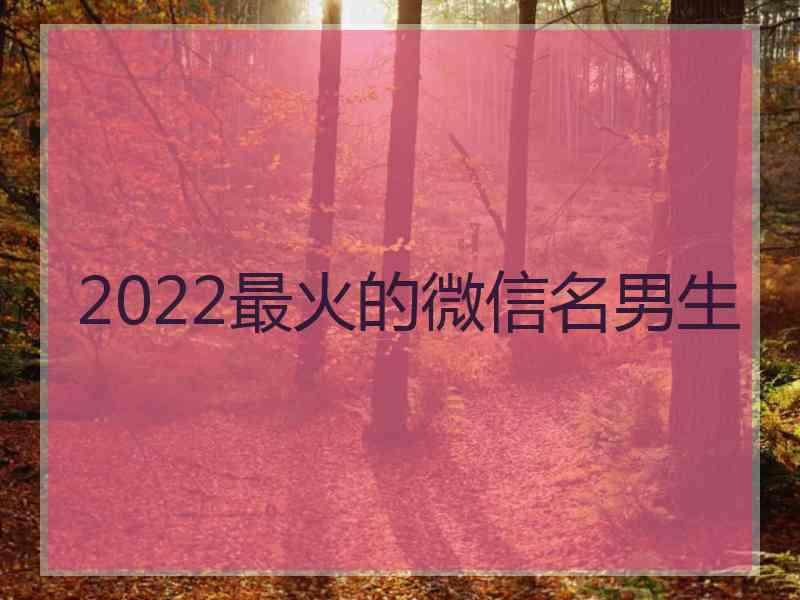 2022最火的微信名男生