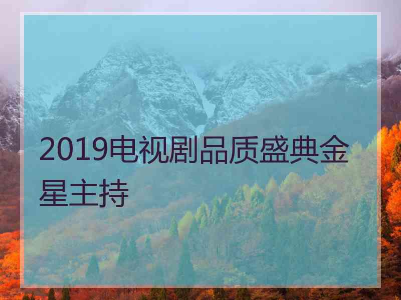 2019电视剧品质盛典金星主持