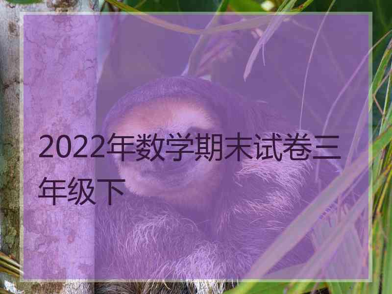 2022年数学期末试卷三年级下