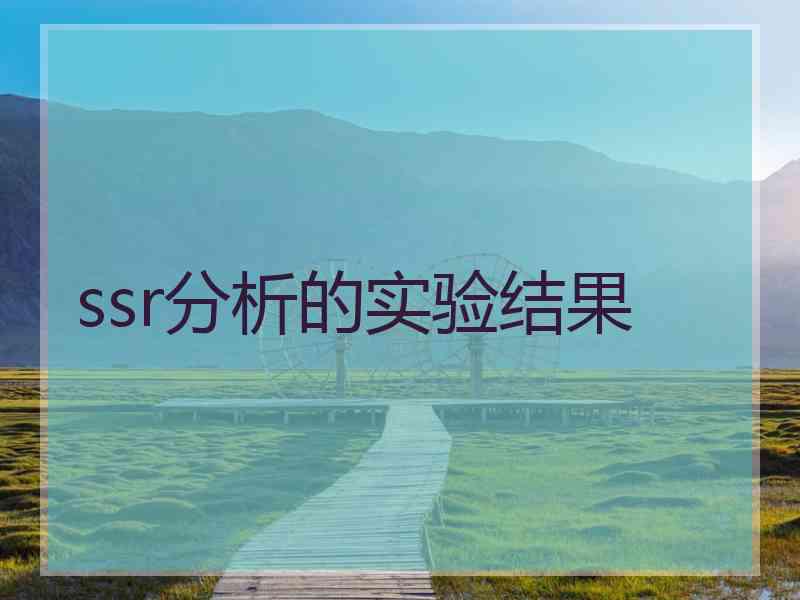 ssr分析的实验结果