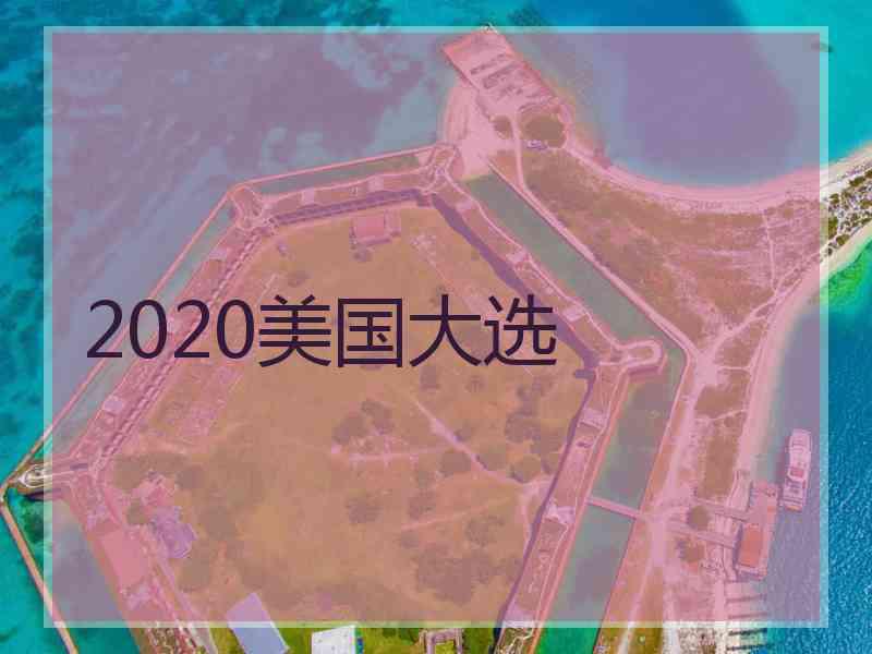 2020美国大选