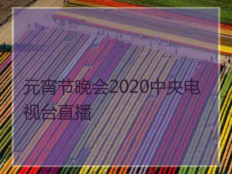 元宵节晚会2020中央电视台直播