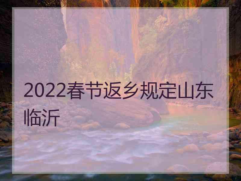 2022春节返乡规定山东临沂