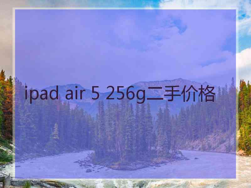 ipad air 5 256g二手价格