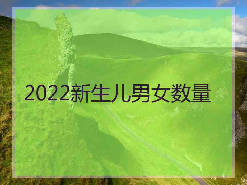 2022新生儿男女数量