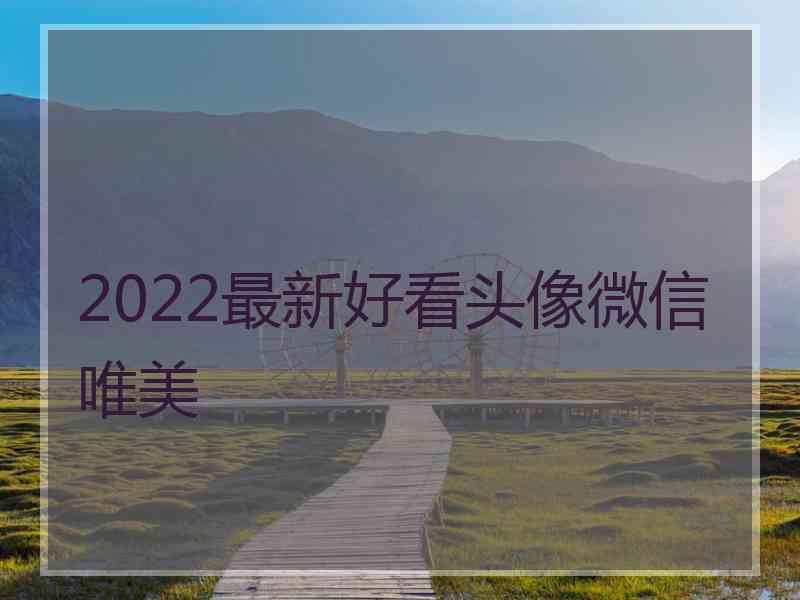 2022最新好看头像微信唯美