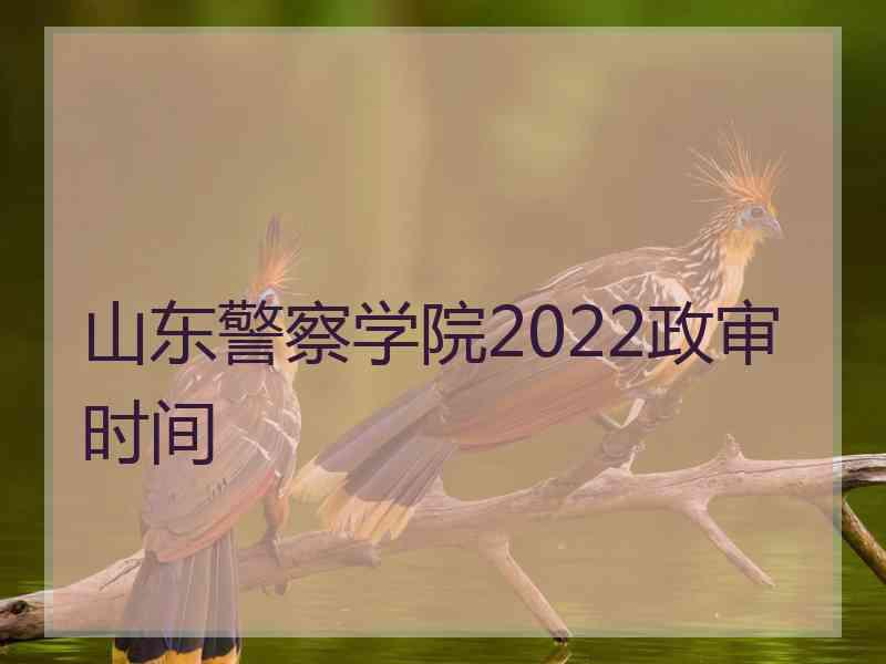 山东警察学院2022政审时间