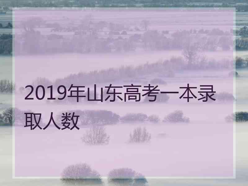 2019年山东高考一本录取人数