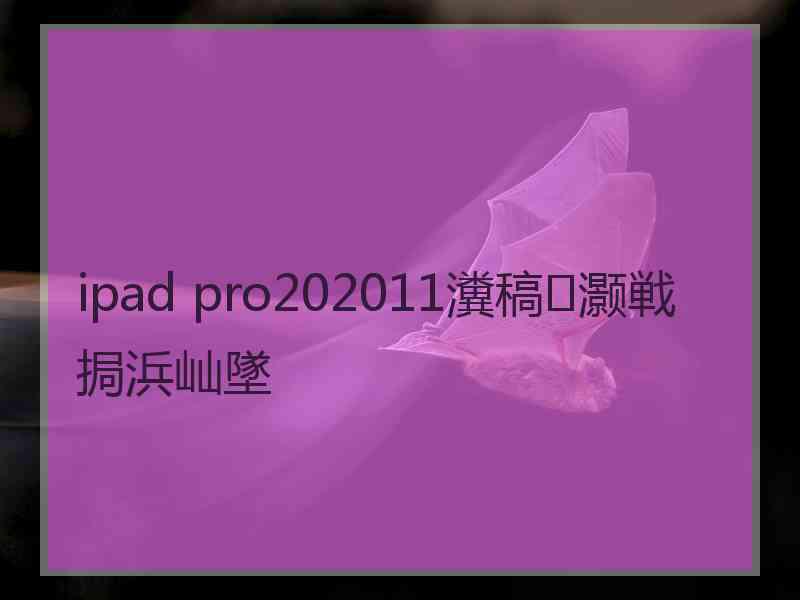 ipad pro202011瀵稿灏戦挶浜屾墜