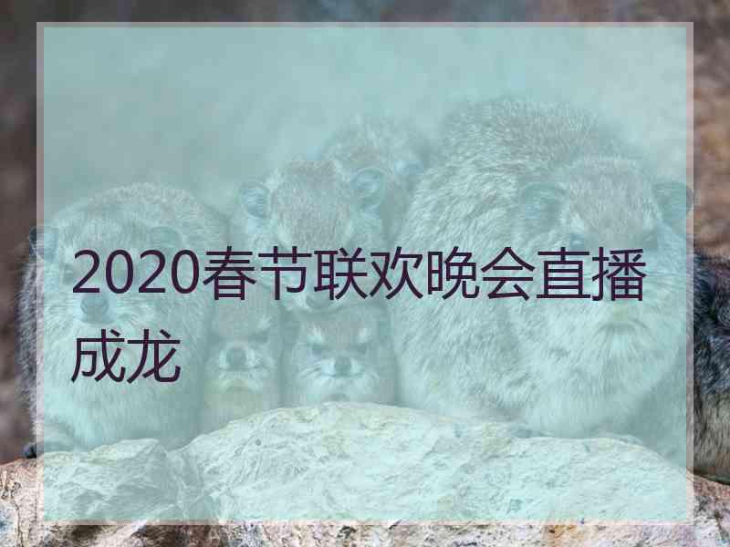 2020春节联欢晚会直播成龙