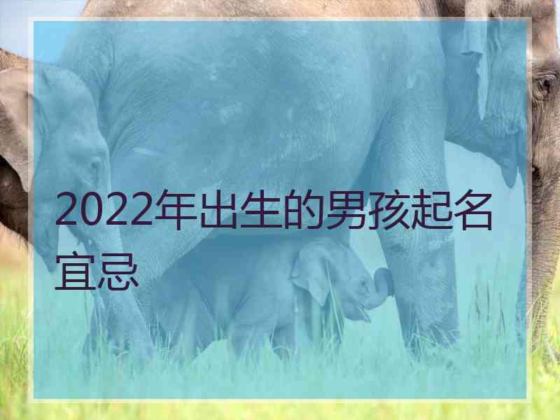 2022年出生的男孩起名宜忌