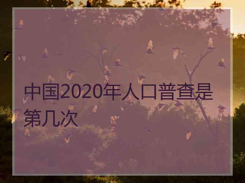 中国2020年人口普查是第几次