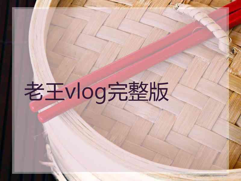 老王vlog完整版