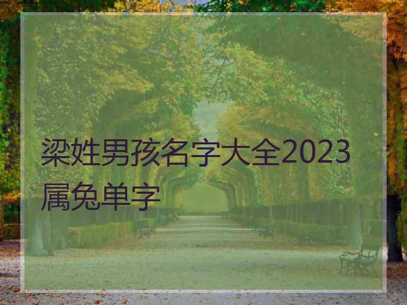 梁姓男孩名字大全2023属兔单字