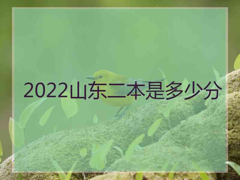 2022山东二本是多少分