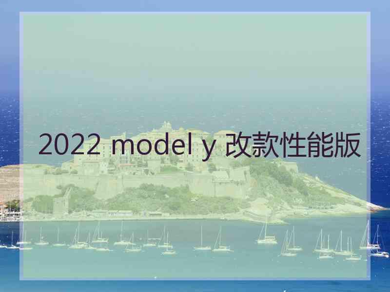 2022 model y 改款性能版