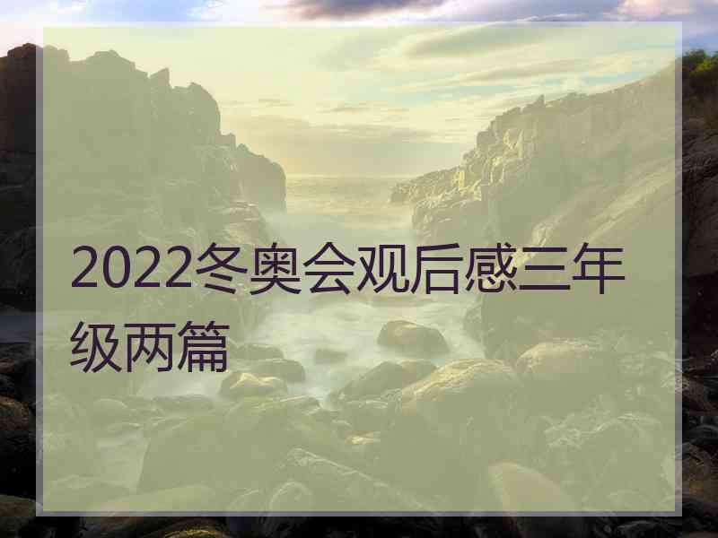 2022冬奥会观后感三年级两篇