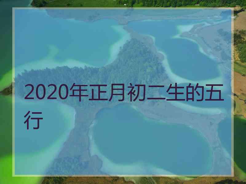 2020年正月初二生的五行