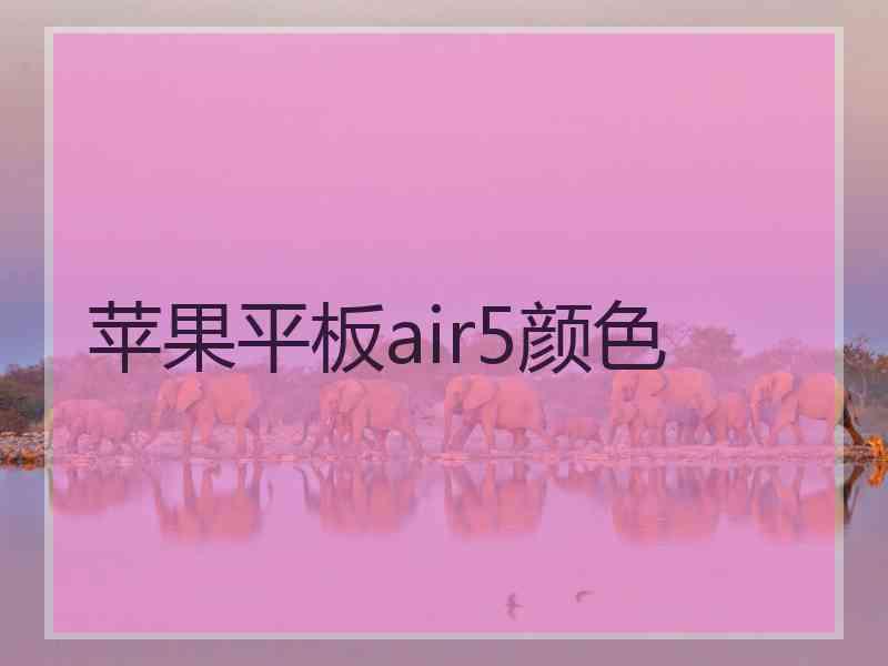 苹果平板air5颜色