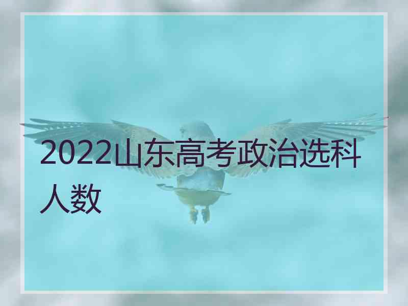 2022山东高考政治选科人数