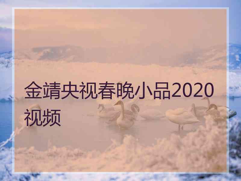 金靖央视春晚小品2020视频