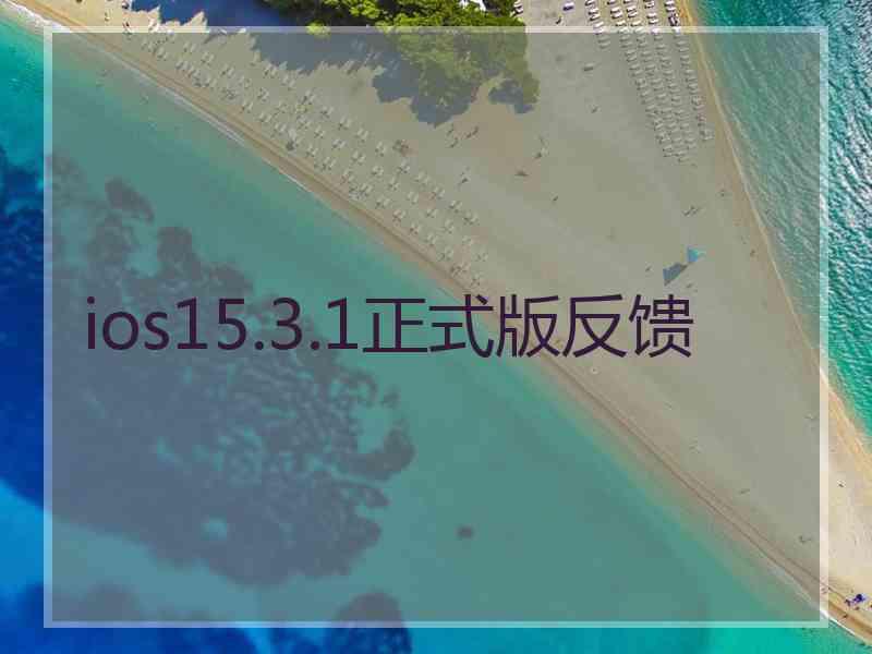 ios15.3.1正式版反馈