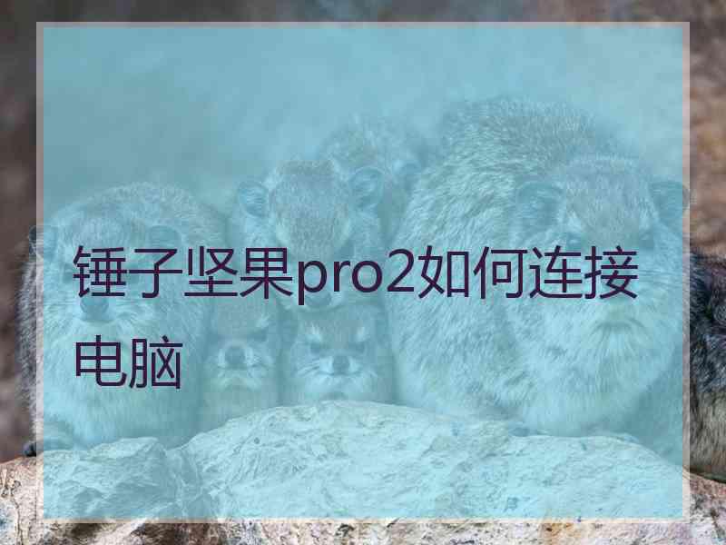 锤子坚果pro2如何连接电脑