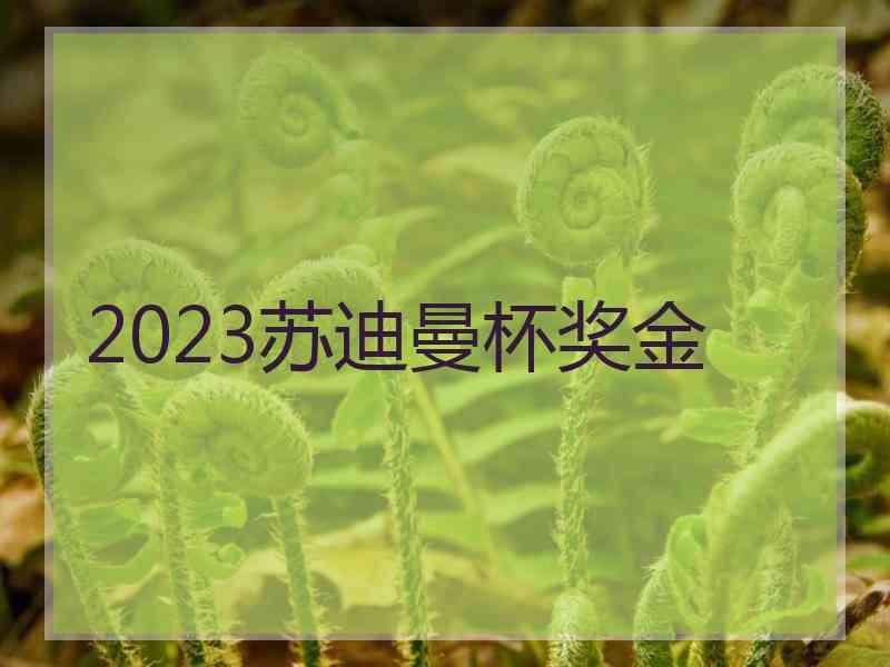 2023苏迪曼杯奖金