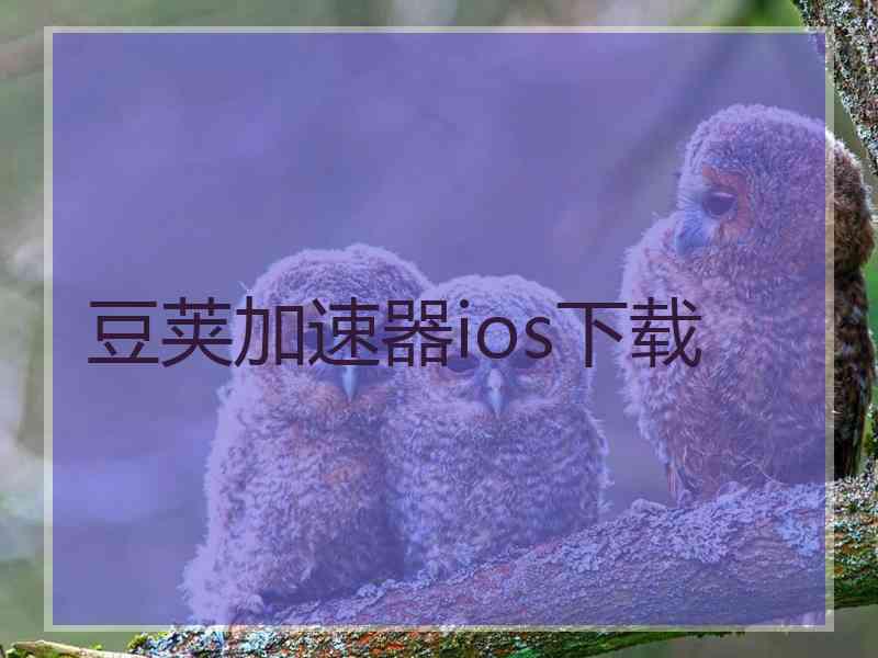 豆荚加速器ios下载