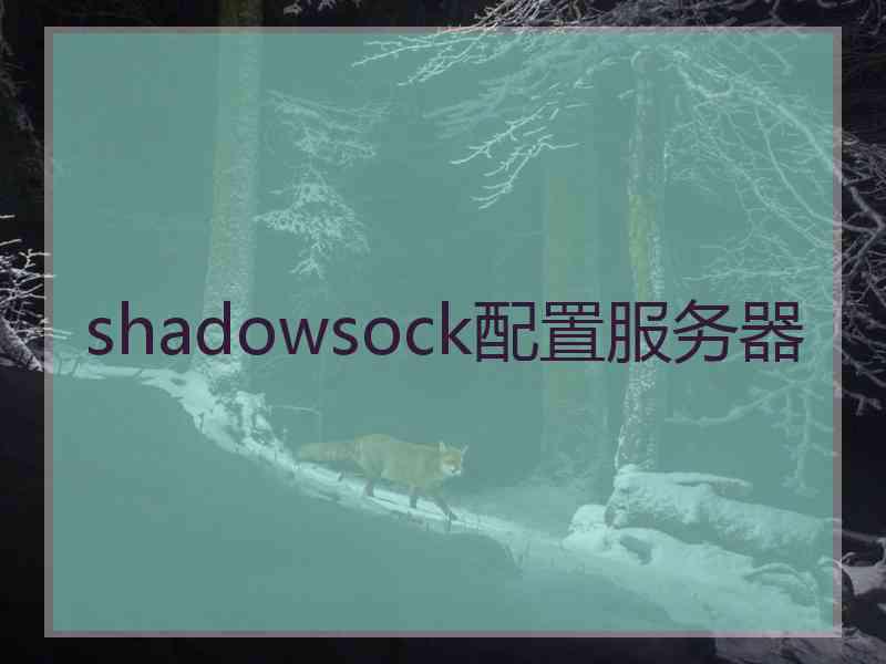 shadowsock配置服务器